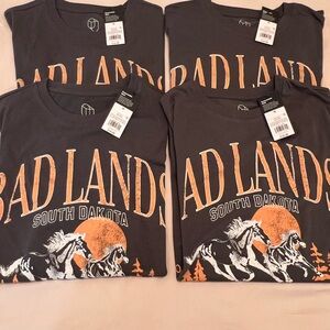 Qty:4-Badlands South Dakota Graphic by Original Use L/S T-Shirt Men’s Medium